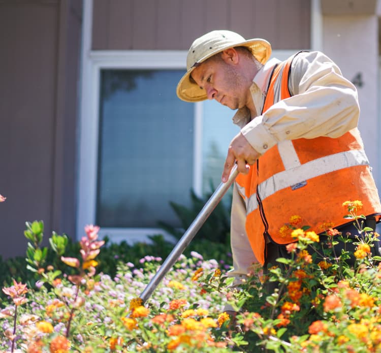 Landscaper