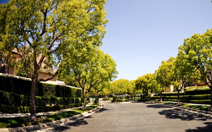 View of landscaping from the street