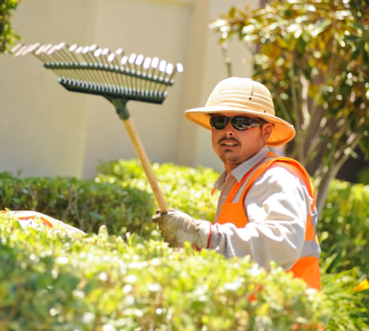 Landscaper with rake